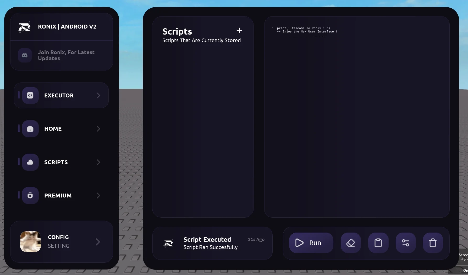 Ronix Executor interface screenshot